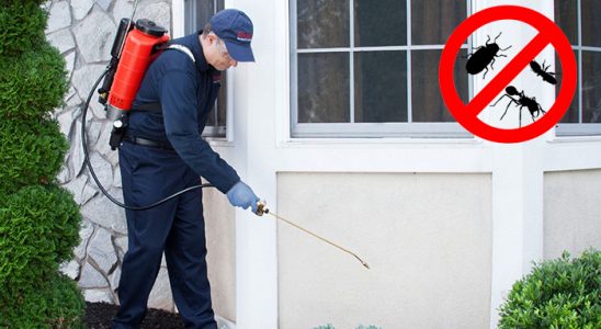 Şahinbey Bit İlaçlama böcek ilaçlama ve haşere kontrolü — ilaclama-tr.com